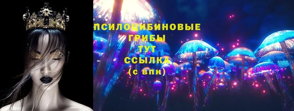 МДПВ Алексин