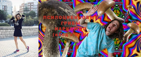 прущие грибы Нефтекумск
