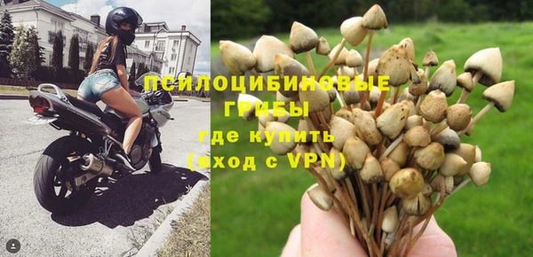 прущая мука Алзамай