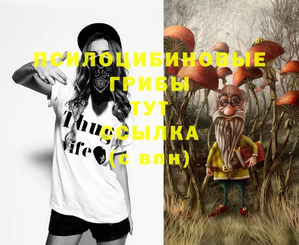 прущая мука Алзамай