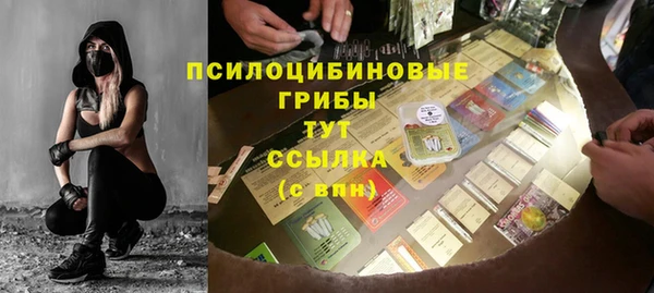 МДПВ Алексин
