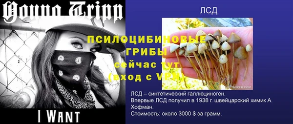МДПВ Алексин